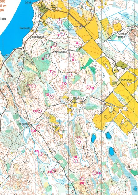 Map training of 3th EFOL Sweden 1996